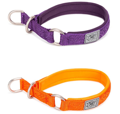 TRUELOVE Pet Collar Nylon Webbing P-chain Explosion-proof Neoprene Padding Pets Running Training Large Medium Small Dogs YC1851
