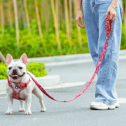 Truelove Floral Pet Leash Neoprene Padded Handle Extra Traffic Control Dog and Cat Strong Enough and Easy to Use Travel TLL3112