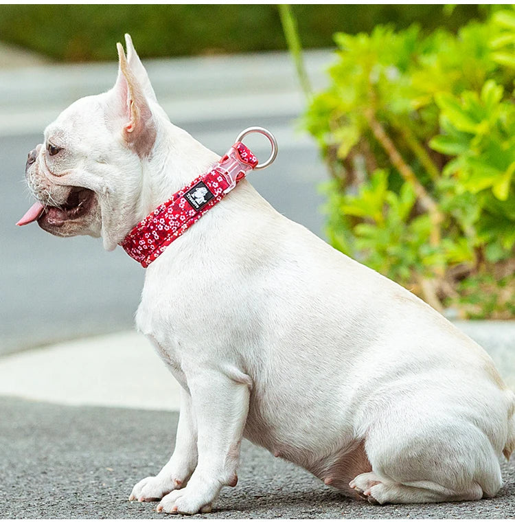 Truelove Floral Pet Collar Best Padded Comfort Cushion Camouflage Small Medium and Large Dogs and Pets Running Outdoors TLC5273