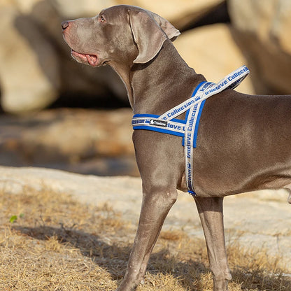 Truelove Pet Harness Neoprene Padded No Pull Dog Harness Pet Supplies 3M Reflective Strips Padded Dog Harness Vest TLH58121