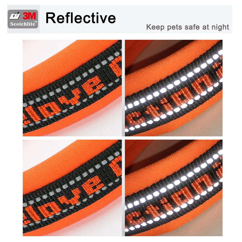 Truelove Pet Collar Nylon Reflective Sturdy Duraflex Buckle Small Cat Large Dog Traveling Running Cross Country Walking TLC50121