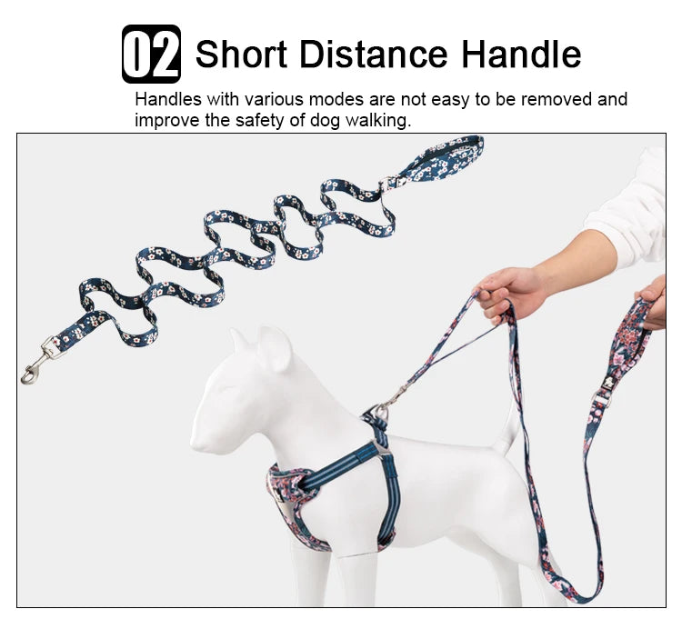 Truelove Floral Pet Leash Neoprene Padded Handle Extra Traffic Control Dog and Cat Strong Enough and Easy to Use Travel TLL3112