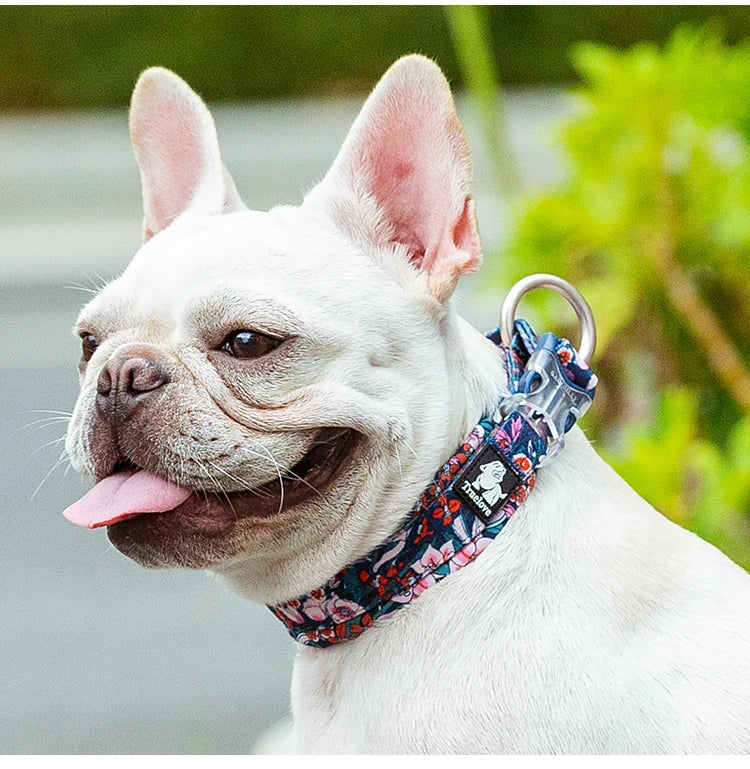 Truelove Floral Pet Collar Best Padded Comfort Cushion Camouflage Small Medium and Large Dogs and Pets Running Outdoors TLC5273