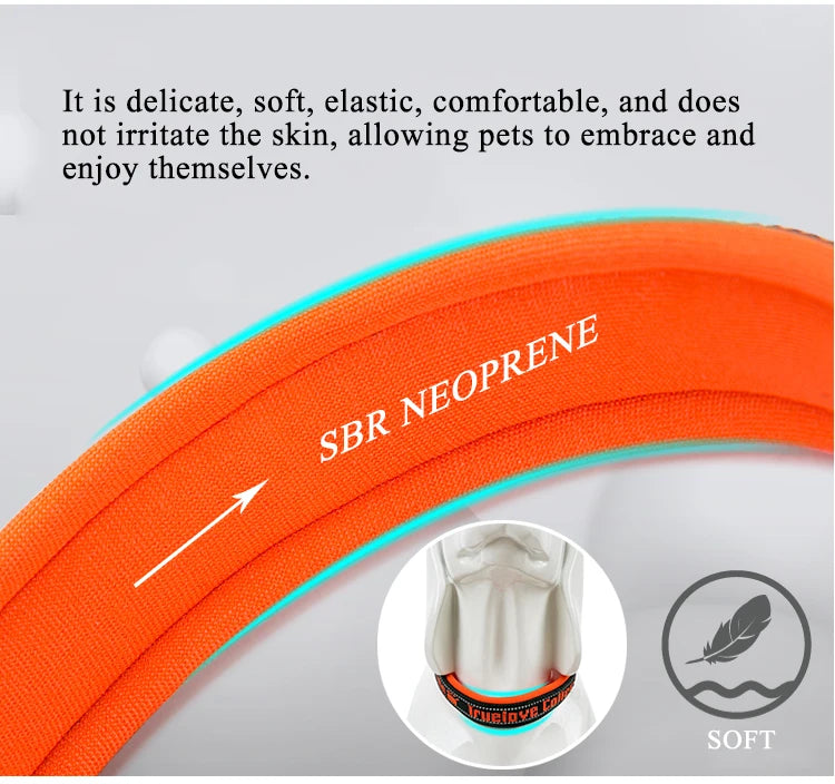 Truelove Pet Collar Nylon Reflective Sturdy Duraflex Buckle Small Cat Large Dog Traveling Running Cross Country Walking TLC50121