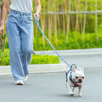 Truelove Floral Pet Leash Neoprene Padded Handle Extra Traffic Control Dog and Cat Strong Enough and Easy to Use Travel TLL3112