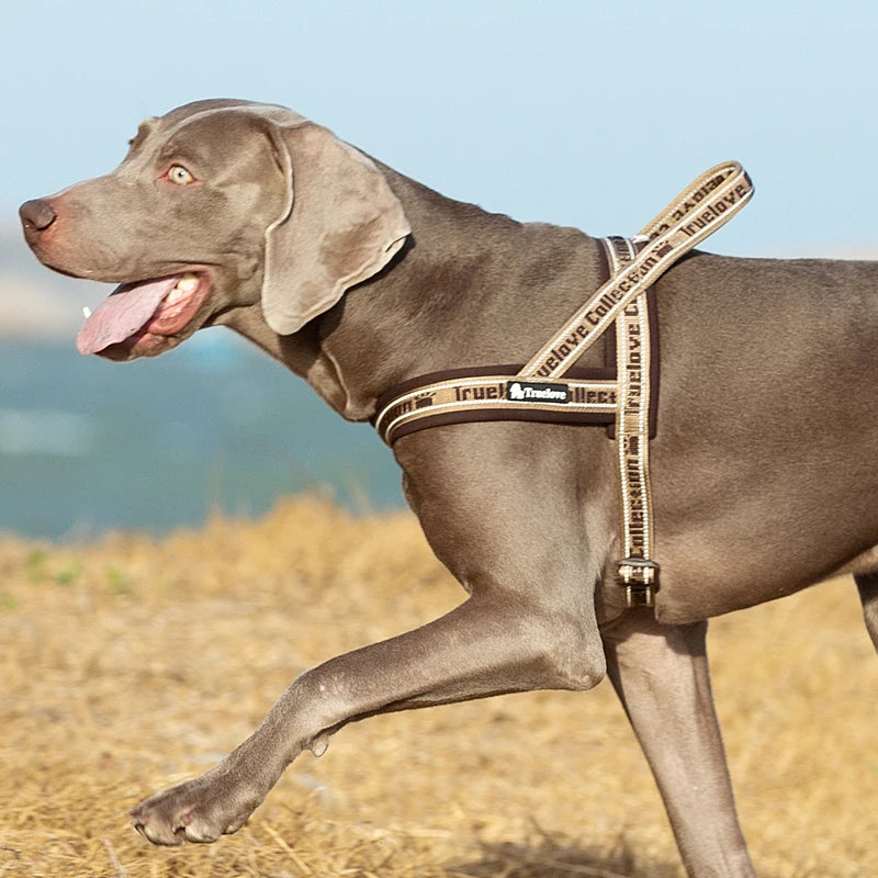 Truelove Pet Harness Neoprene Padded No Pull Dog Harness Pet Supplies 3M Reflective Strips Padded Dog Harness Vest TLH58121