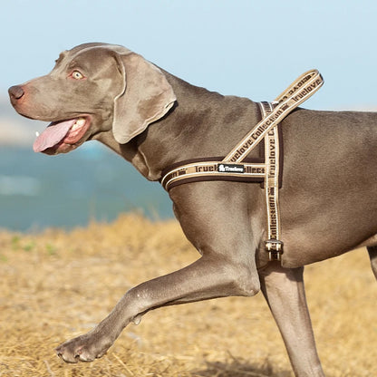 Truelove Pet Harness Neoprene Padded No Pull Dog Harness Pet Supplies 3M Reflective Strips Padded Dog Harness Vest TLH58121