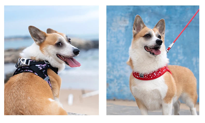 Truelove Floral Printing Mesh Harness for Dogs and Cats Small and Medium Breeds All Weather Adjustable Summer Walking TLH30131