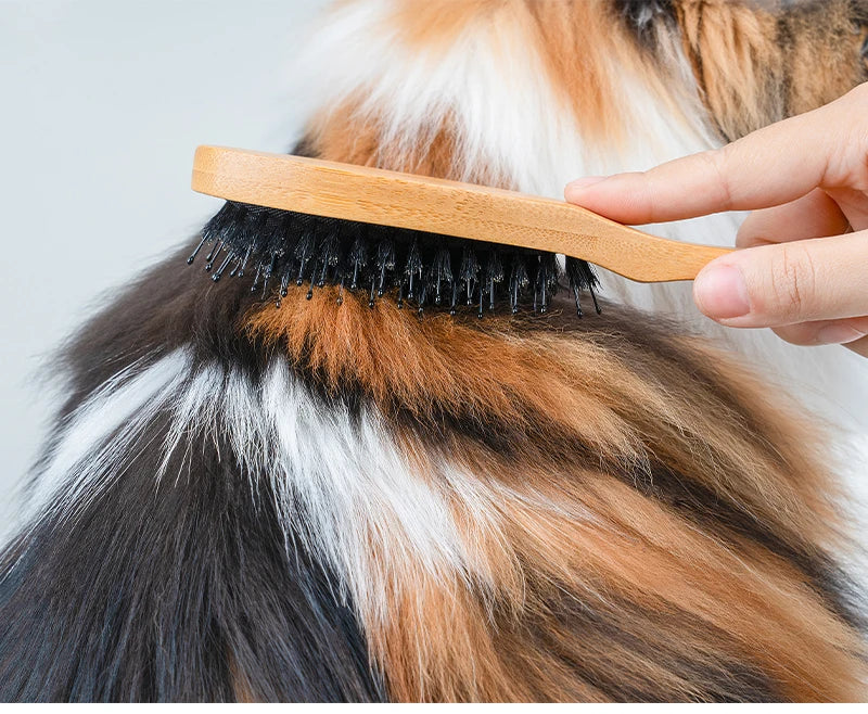 Truelove Hot Sale Ready to Ship Portable Pet Grooming Brush Eco-friendly Bamboo Handles Soft Hair Removal Comb Dog cat TLK28131