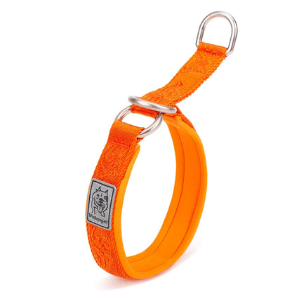 TRUELOVE Pet Collar Nylon Webbing P-chain Explosion-proof Neoprene Padding Pets Running Training Large Medium Small Dogs YC1851
