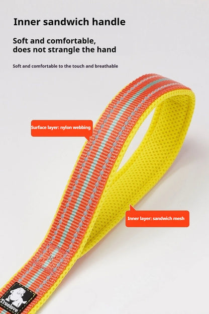 Truelove Pet Leash 200CM Comfort Sandwich Dog Leash Soft Padded Breathable No Pull Pet Lead Durable Reflective Rope TLL2112