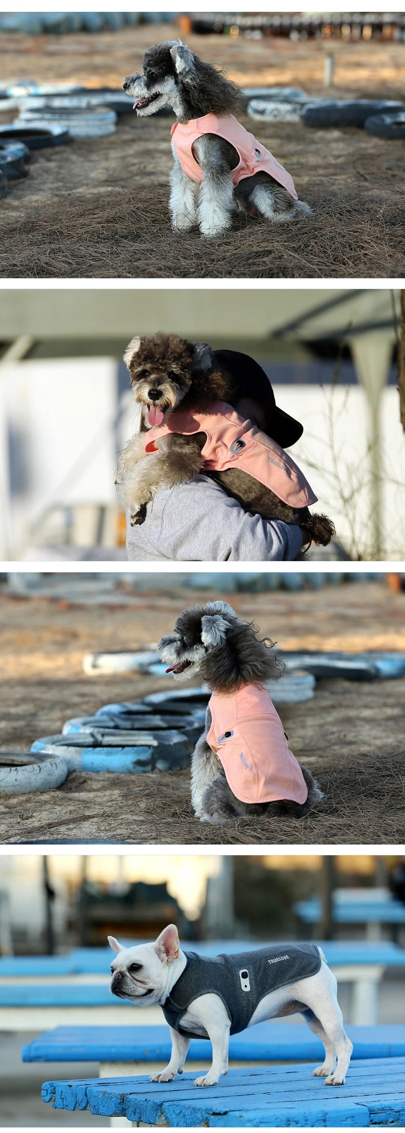 Truelove Anti-Bacterial Pet Coat New Design Pet Apparel Soft Breathable Dog Coat Adjustable Buckle Reflctive Material TLG2521