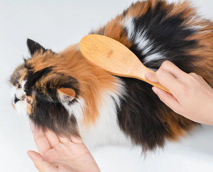 Truelove Hot Sale Ready to Ship Portable Pet Grooming Brush Eco-friendly Bamboo Handles Soft Hair Removal Comb Dog cat TLK28131