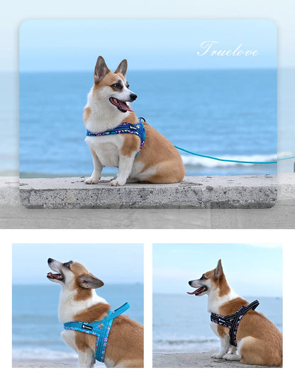 Truelove Floral Printing Mesh Padded Harness for All Breeds Quick Fit Dog Vest Harness Small Medium Large Dogs Outdoor TLH58122