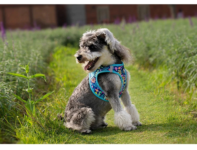 Truelove Pet Harness Soft Air Mesh Adjustable Reflective Pet Vest Small and Medium Breeds No Pull Adjustable Dog Harness TLH3016