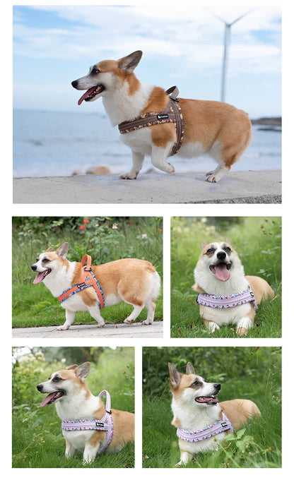 Truelove Floral Printing Mesh Padded Harness for All Breeds Quick Fit Dog Vest Harness Small Medium Large Dogs Outdoor TLH58122