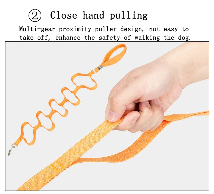 Truelove Eco-Friendly Dog Rope Leash Recycled Materials Quick Release Breathable Comfortable Polyester Dog Walking TLL3073