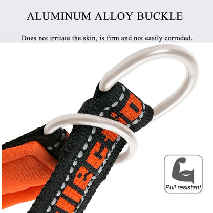 Truelove P-Chain Nylon Pet Collar Adjustable Reflective SBR Neoprene Pull-resistant Explosion-proof Dog and Cat Travel TLC5371