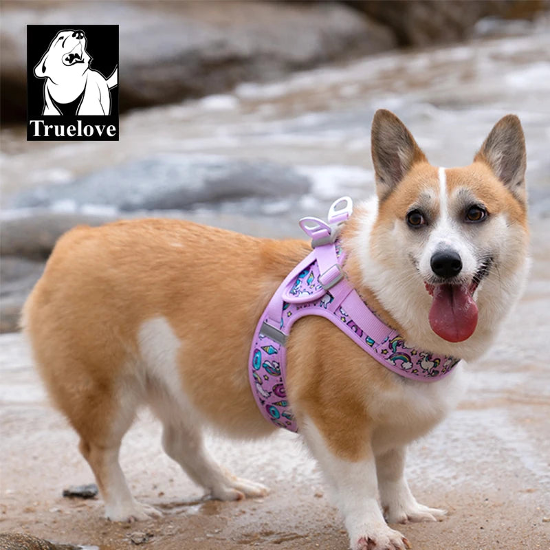 Truelove Easy to Take-on Dog Harness Soft Material Fashion Design Adjustable Reflective Pet Har TLH3013 TLH30131