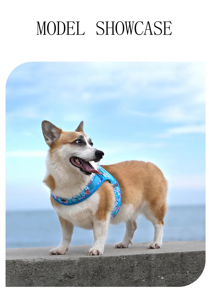 Truelove Floral Printing Mesh Harness for Dogs and Cats Small and Medium Breeds All Weather Adjustable Summer Walking TLH30131