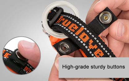 Truelove Pet Collar Nylon Reflective Sturdy Duraflex Buckle Small Cat Large Dog Traveling Running Cross Country Walking TLC50121