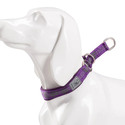 TRUELOVE Pet Collar Nylon Webbing P-chain Explosion-proof Neoprene Padding Pets Running Training Large Medium Small Dogs YC1851