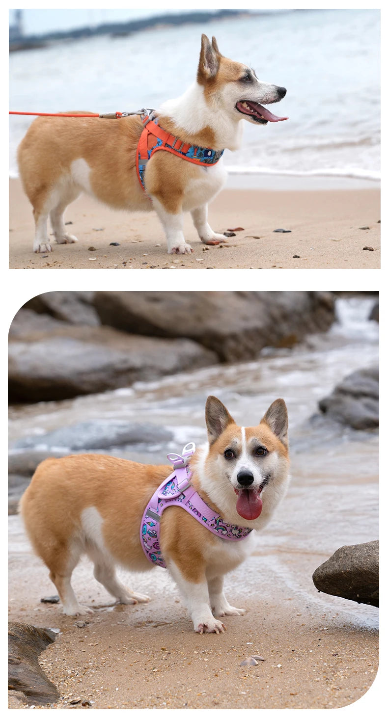 Truelove Floral Printing Mesh Harness for Dogs and Cats Small and Medium Breeds All Weather Adjustable Summer Walking TLH30131