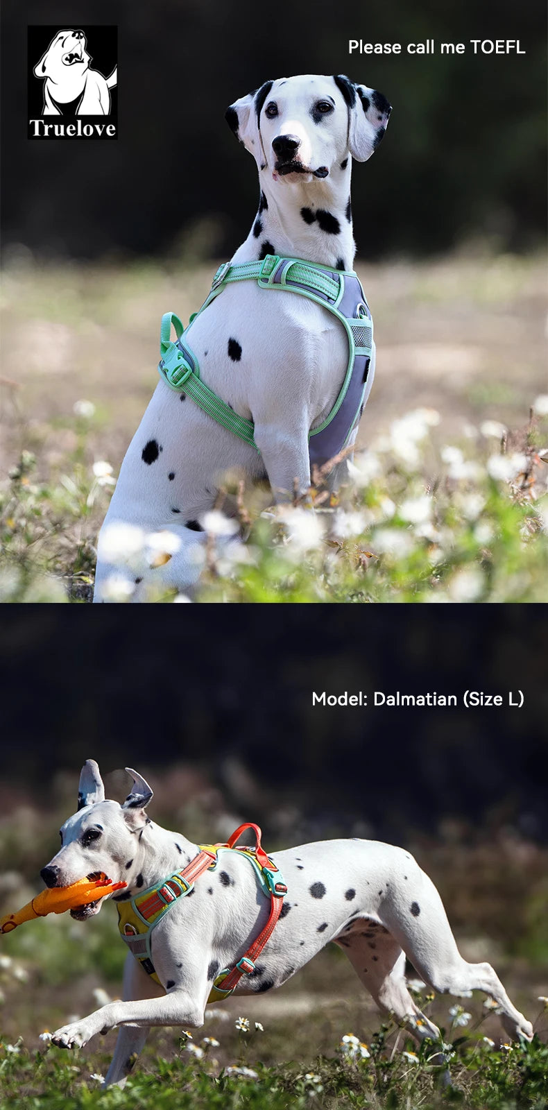 Truelove New Pet Harness Premium Anti Pull Reflective Light Up Nylon Breathable Adjustable Dog Harness Training Vest TLH5657