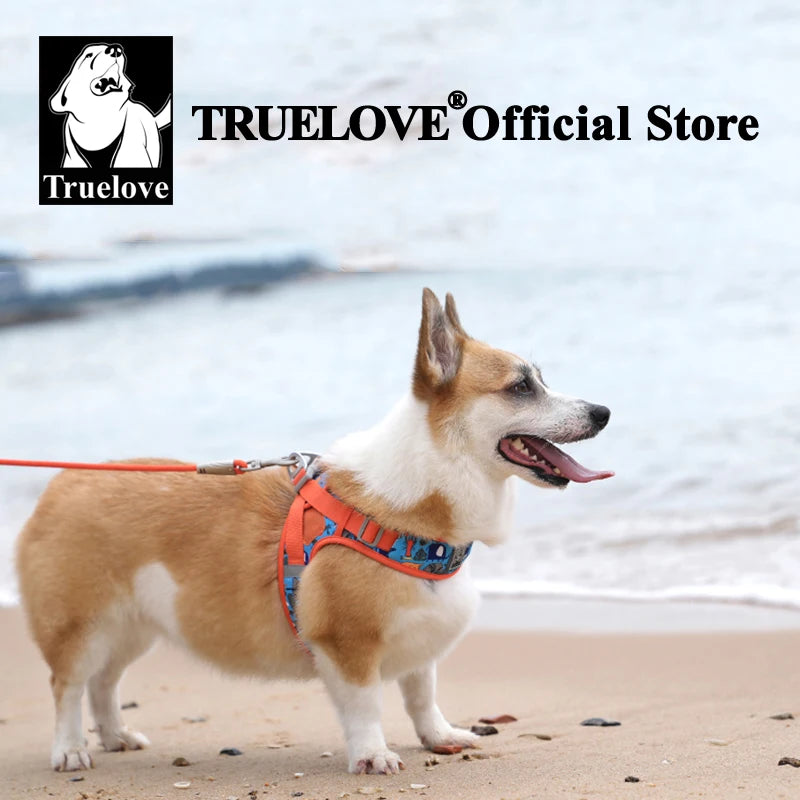 Truelove Floral Printing Mesh Harness for Dogs and Cats Small and Medium Breeds All Weather Adjustable Summer Walking TLH30131