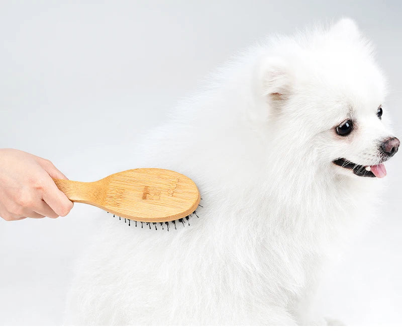 Truelove Hot Sale Ready to Ship Portable Pet Grooming Brush Eco-friendly Bamboo Handles Soft Hair Removal Comb Dog cat TLK28131