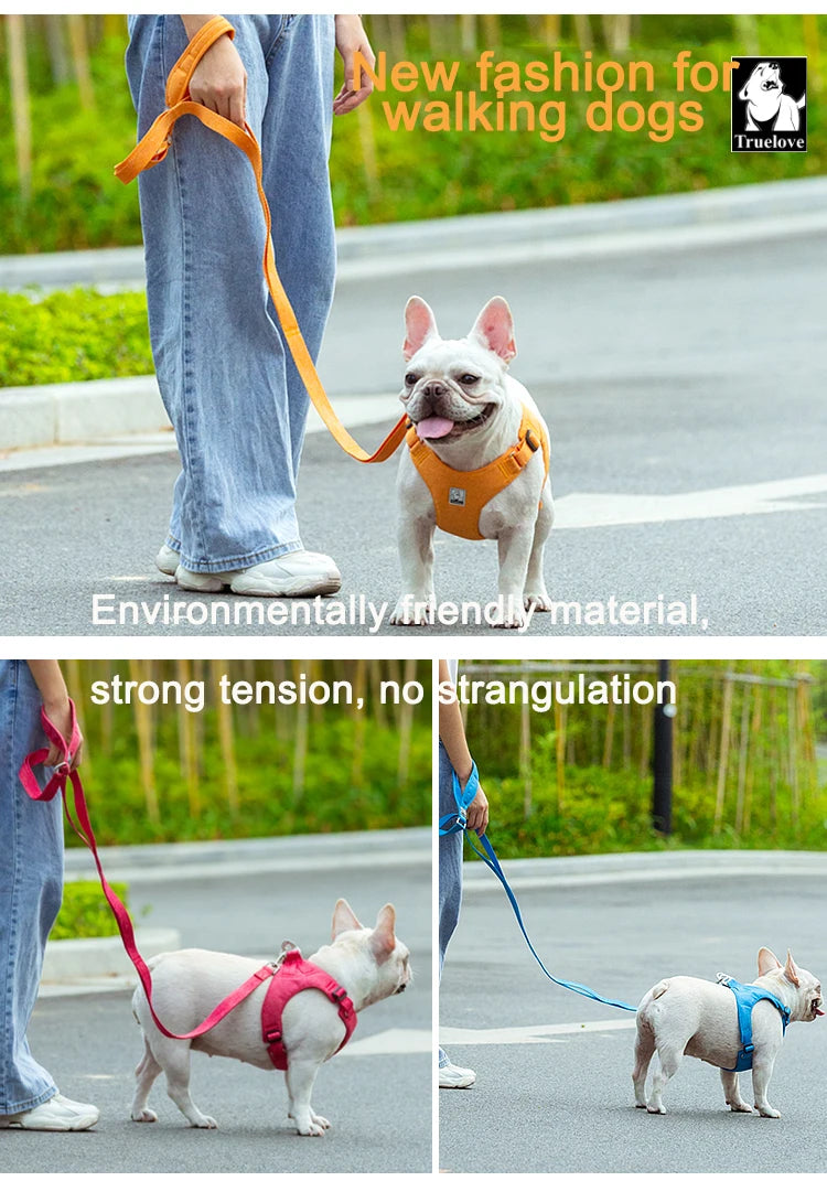 Truelove Eco-Friendly Dog Rope Leash Recycled Materials Quick Release Breathable Comfortable Polyester Dog Walking TLL3073