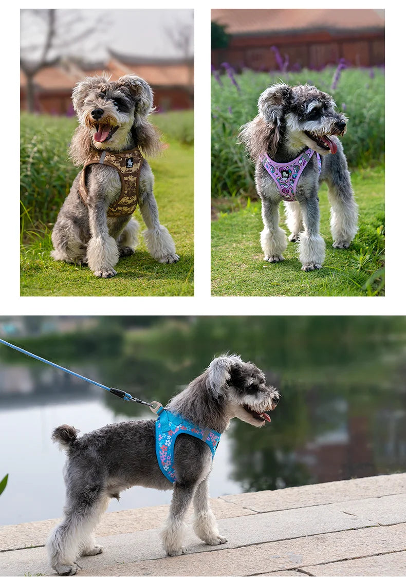 Truelove Pet Harness Soft Air Mesh Adjustable Reflective Pet Vest Small and Medium Breeds No Pull Adjustable Dog Harness TLH3016