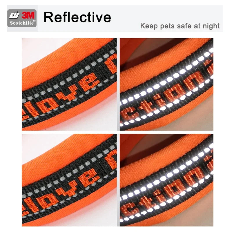 Truelove Pet Collar Nylon Reflective Sturdy Duraflex Buckle Small Cat Large Dog Traveling Running Cross Country Walking TLC50121