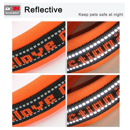 Truelove Pet Collar Nylon Reflective Sturdy Duraflex Buckle Small Cat Large Dog Traveling Running Cross Country Walking TLC50121
